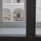 Magyar Természettudományi Múzeum Mátra Múzeuma Gyöngyös - Belső