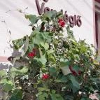 Pikoló Vendéglő Bakonybél - Külső kép