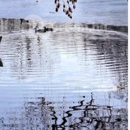 Sástó Hotel, Gyöngyös - Környék