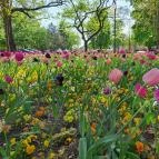 Szent István Park Hajdúszoboszló - Egyéb