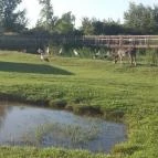 Tisza-tavi Ökocentrum Poroszló - 