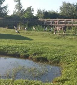 Tisza-tavi Ökocentrum