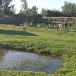 Tisza-tavi Ökocentrum Poroszló - Egyéb