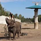 Richter Safari Park Nagykőrös - Külső kép