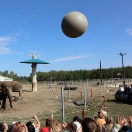 Richter Safari Park Nagykőrös - Külső kép