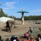 Richter Safari Park Nagykőrös - Külső kép
