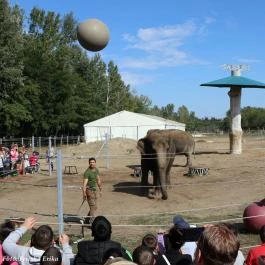 Richter Safari Park Nagykőrös - Külső kép