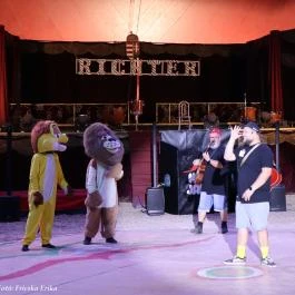 Richter Safari Park Nagykőrös - Belső