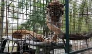 Richter Safari Park Nagykőrös - Külső kép