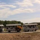 Richter Safari Park Nagykőrös - Külső kép