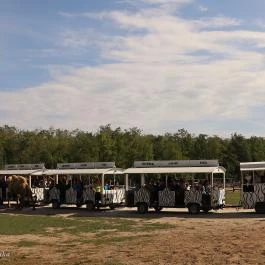 Richter Safari Park Nagykőrös - Külső kép
