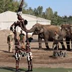 Richter Safari Park Nagykőrös - Külső kép