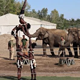Richter Safari Park Nagykőrös - Külső kép