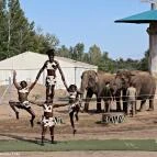 Richter Safari Park Nagykőrös - Külső kép