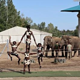 Richter Safari Park Nagykőrös - Külső kép