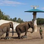 Richter Safari Park Nagykőrös - Külső kép