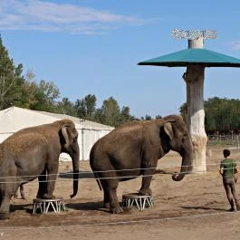 Richter Safari Park Nagykőrös - Külső kép