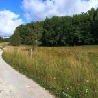 Hármaskúti Erdészház Nagyvisnyó - Egyéb