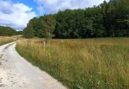 Hármaskúti Erdészház Nagyvisnyó