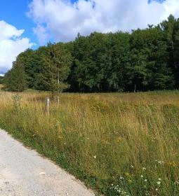 Hármaskúti Erdészház