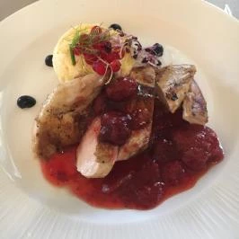 Teleki-Wattay Kastélyszálló , Pomáz - Vendéglátás