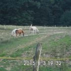 Romantyk Vendégház Mánfa - Egyéb