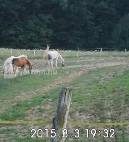 Romantyk Vendégház 