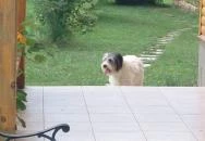 Romantyk Vendégház Mánfa