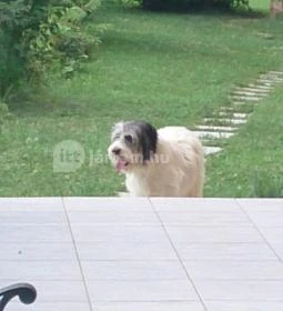 Romantyk Vendégház 