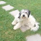 Romantyk Vendégház Mánfa - Környék