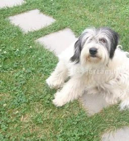 Romantyk Vendégház 