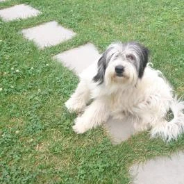 Romantyk Vendégház , Mánfa - Környék