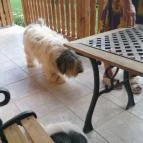 Romantyk Vendégház Mánfa - Környék