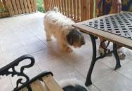 Romantyk Vendégház Mánfa