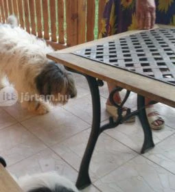 Romantyk Vendégház 