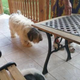 Romantyk Vendégház , Mánfa - Környék