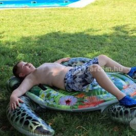 Nereus Park Hotel, Balatonalmádi - Medence/kert