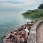 Nereus Park Hotel Balatonalmádi - Medence/kert