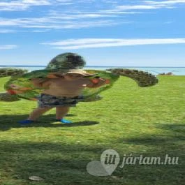 Nereus Park Hotel, Balatonalmádi - Medence/kert