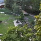 Danubius Health Spa Resort Margitsziget Budapest - Medence/kert