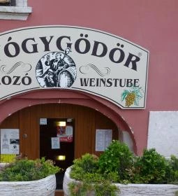 Gyógygödör Borozó