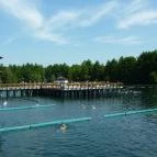 Hévízgyógyfürdő és Szent András Reumakórház Hévíz - 