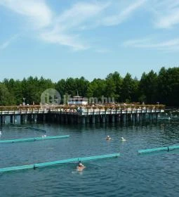 Hévízgyógyfürdő és Szent András Reumakórház