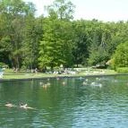 Hévízgyógyfürdő és Szent András Reumakórház Hévíz - 