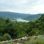 Silvanus Wellness & Konferencia Hotel Visegrád - Környék