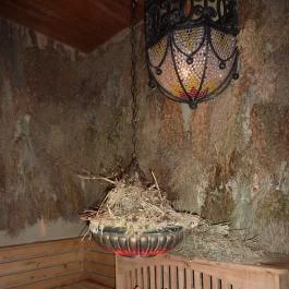 Silvanus Wellness & Konferencia Hotel, Visegrád - Wellness