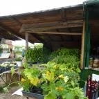 Káptalantóti Liliomkert Káptalantóti - 