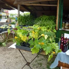 Káptalantóti Liliomkert Káptalantóti - Egyéb