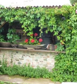 Káptalantóti Liliomkert