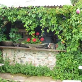 Káptalantóti Liliomkert Káptalantóti - Egyéb